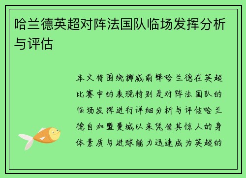 哈兰德英超对阵法国队临场发挥分析与评估